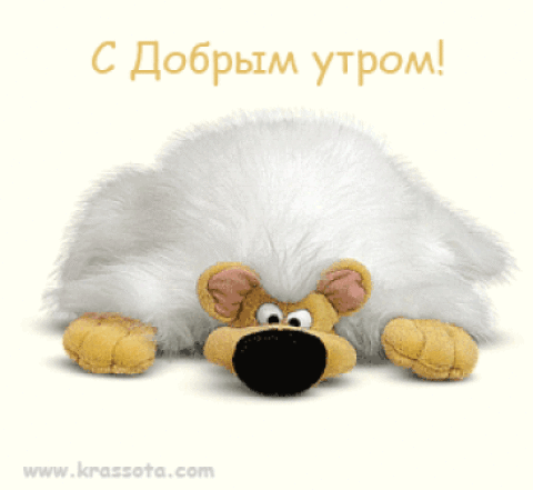 http://static.babysfera.ru/1/a/9/e/10885967.84801.gif