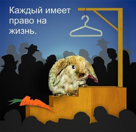 смотреть онлайн осляча шкура
