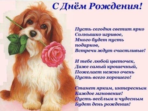 Поздравление девушке с днем рождения открытки Поздравление девушке с днем рождения открытки